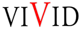 Логотип компании Вивид