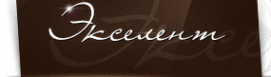 Логотип компании Экселент