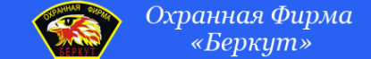 Логотип компании Беркут