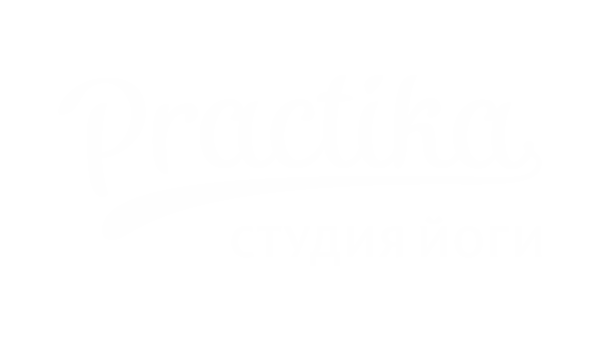 Логотип компании Practika